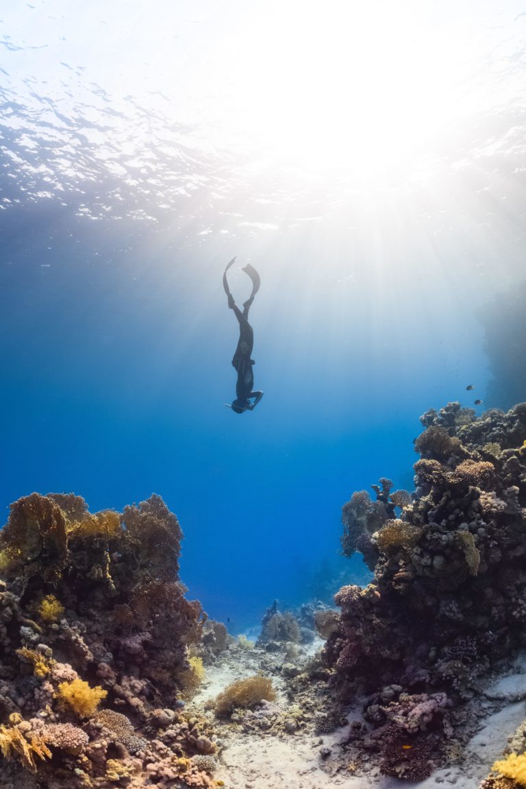 Cultural Currents: First Nations Underwater Cultural Heritage and Offshore Wind Development