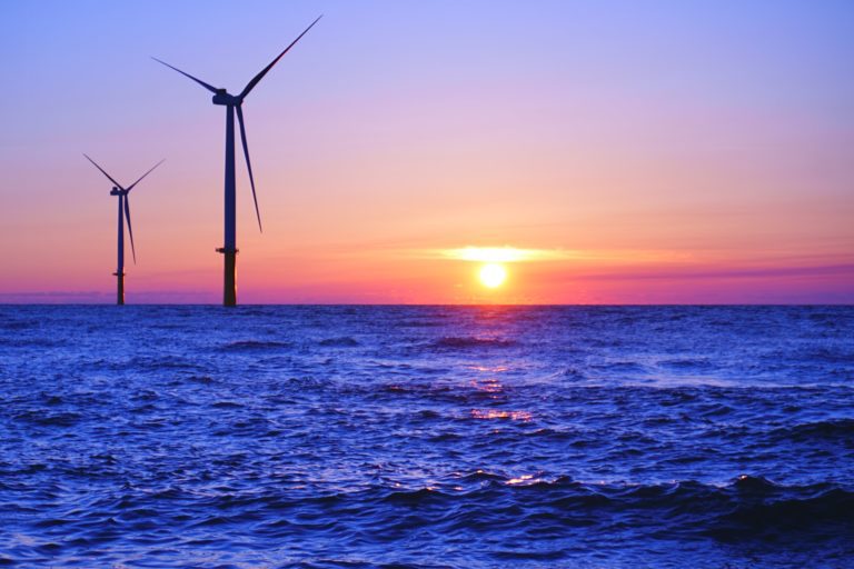 Key Factors for Environmental Impact Assessment for Offshore Wind in Australia