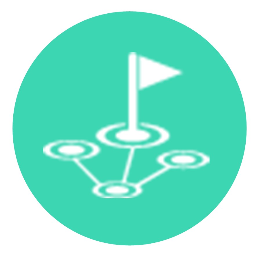 Regional Geophysical Survey Campaign