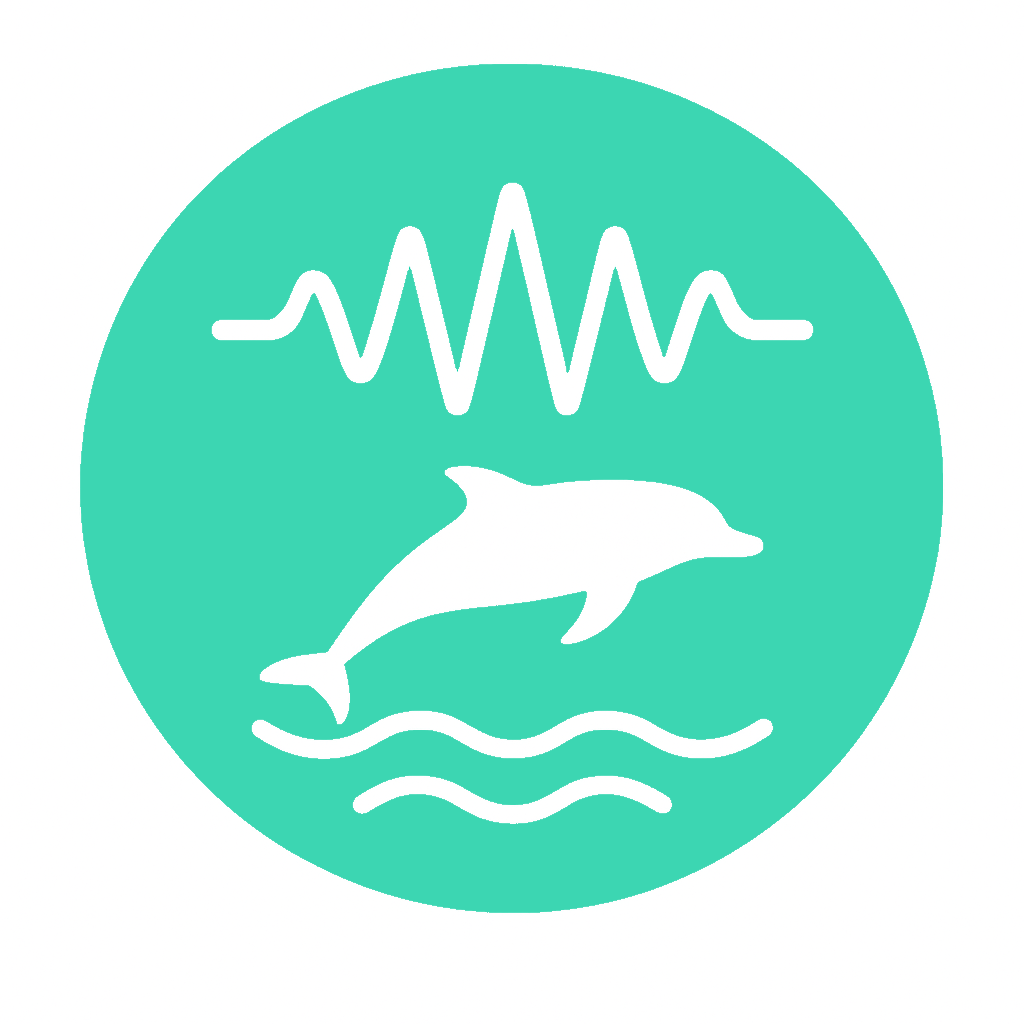 Underwater Noise Mitigation Strategy